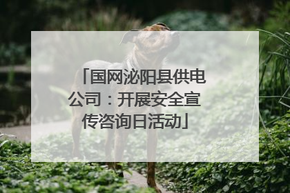 国网泌阳县供电公司：开展安全宣传咨询日活动