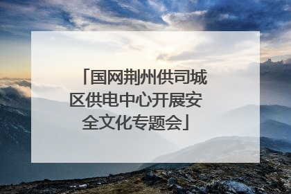 国网荆州供司城区供电中心开展安全文化专题会