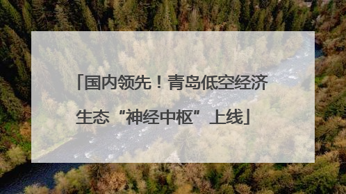 国内领先！青岛低空经济生态“神经中枢”上线