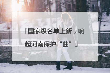 国家级名单上新，响起河南保护“曲”