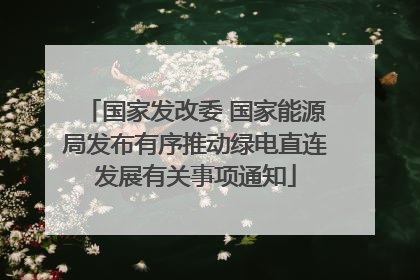国家发改委 国家能源局发布有序推动绿电直连发展有关事项通知