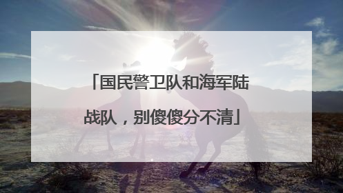 国民警卫队和海军陆战队，别傻傻分不清