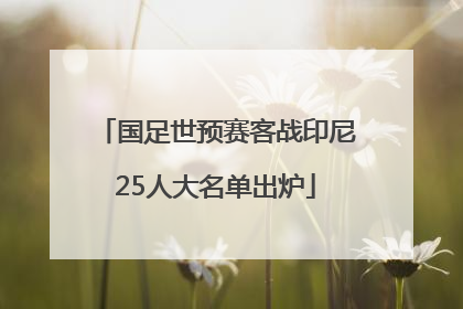 国足世预赛客战印尼25人大名单出炉