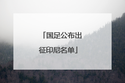 国足公布出征印尼名单