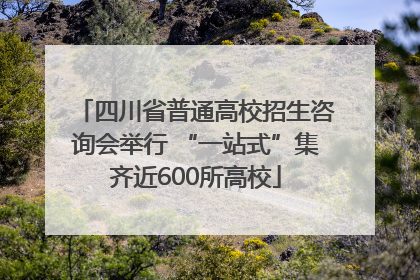 四川省普通高校招生咨询会举行 “一站式”集齐近600所高校