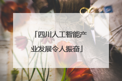 四川人工智能产业发展令人振奋