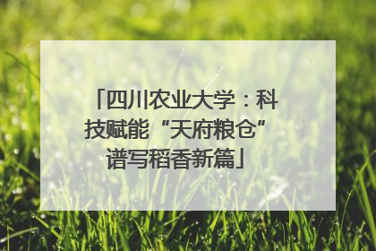 四川农业大学：科技赋能“天府粮仓”谱写稻香新篇