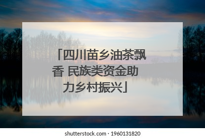 四川苗乡油茶飘香 民族类资金助力乡村振兴