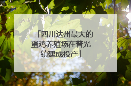 四川达州最大的蛋鸡养殖场在普光镇建成投产