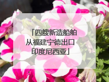四艘新造船舶从福建宁德出口印度尼西亚
