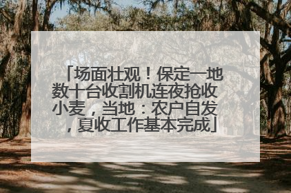 场面壮观！保定一地数十台收割机连夜抢收小麦，当地：农户自发，夏收工作基本完成