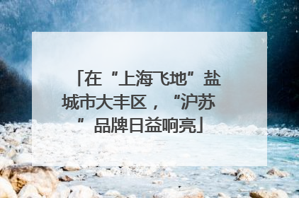 在“上海飞地”盐城市大丰区，“沪苏”品牌日益响亮