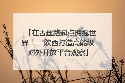 在古丝路起点拥抱世界——陕西打造高能级对外开放平台观察