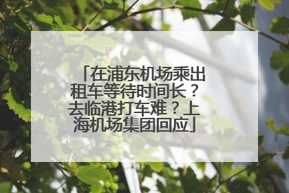 在浦东机场乘出租车等待时间长？去临港打车难？上海机场集团回应