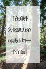 在郑州，文化魅力沁润城市每一个角落