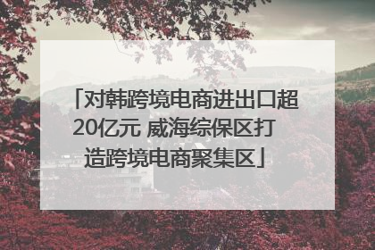 对韩跨境电商进出口超20亿元 威海综保区打造跨境电商聚集区