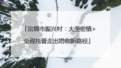 富锦市振兴村：大垄密植+全程托管走出增收新路径