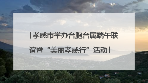 孝感市举办台胞台属端午联谊暨“美丽孝感行”活动