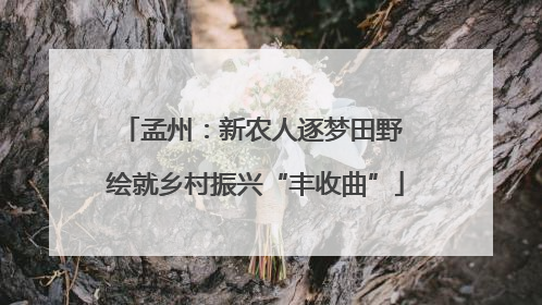 孟州：新农人逐梦田野 绘就乡村振兴“丰收曲”