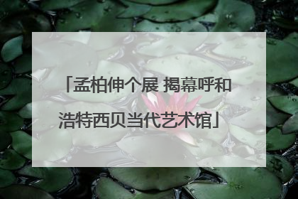 孟柏伸个展 揭幕呼和浩特西贝当代艺术馆