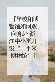 学校和博物馆如何双向奔赴 浙江中小学开设“一平米博物馆”