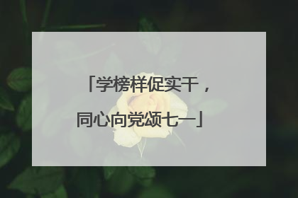 学榜样促实干，同心向党颂七一
