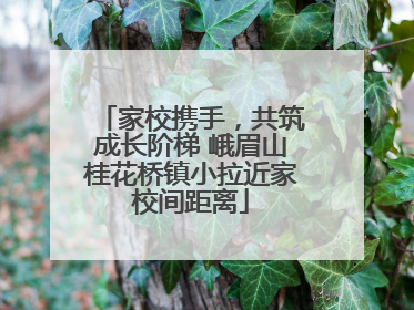 家校携手，共筑成长阶梯 峨眉山桂花桥镇小拉近家校间距离