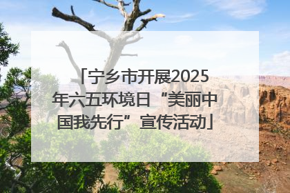宁乡市开展2025年六五环境日“美丽中国我先行”宣传活动