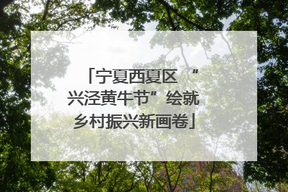 宁夏西夏区 “兴泾黄牛节”绘就乡村振兴新画卷