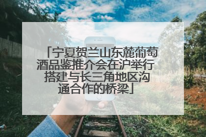 宁夏贺兰山东麓葡萄酒品鉴推介会在沪举行 搭建与长三角地区沟通合作的桥梁