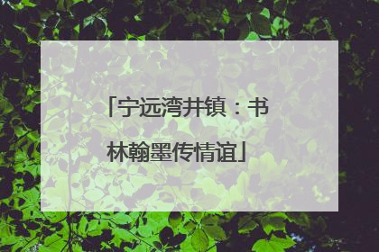 宁远湾井镇：书林翰墨传情谊