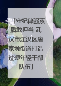 守纪律强素质敢担当 武汉市江汉区唐家墩街道打造过硬年轻干部队伍