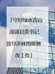 守好绿水青山 漳浦县委书记督导涉林图斑整改工作