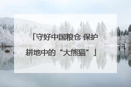 守好中国粮仓 保护耕地中的“大熊猫”