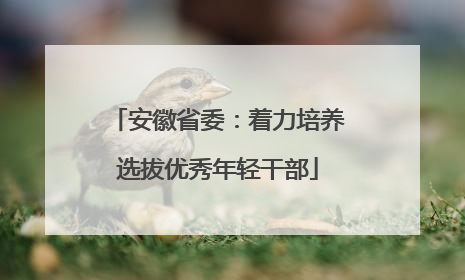 安徽省委：着力培养选拔优秀年轻干部