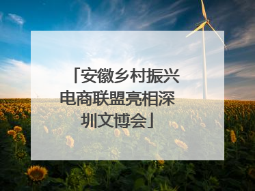 安徽乡村振兴电商联盟亮相深圳文博会