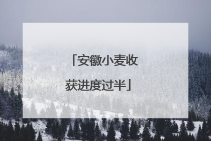 安徽小麦收获进度过半