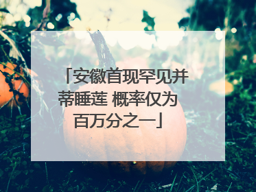 安徽首现罕见并蒂睡莲 概率仅为百万分之一