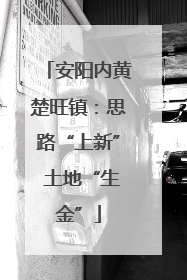 安阳内黄楚旺镇：思路“上新” 土地“生金”