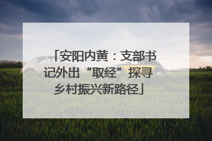 安阳内黄：支部书记外出“取经”探寻乡村振兴新路径