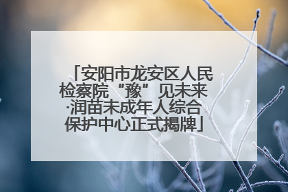 安阳市龙安区人民检察院“豫”见未来·润苗未成年人综合保护中心正式揭牌