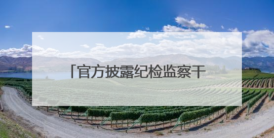官方披露纪检监察干部查案细节：调取停车记录发现3名干部假“办事”真麻将