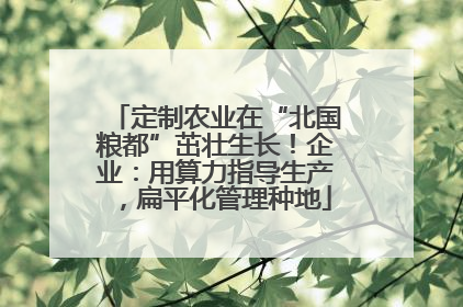 定制农业在“北国粮都”茁壮生长！企业：用算力指导生产，扁平化管理种地
