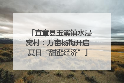 宜章县玉溪镇水浸窝村：万亩杨梅开启夏日“甜蜜经济”