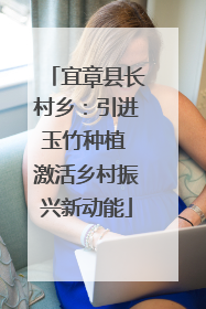宜章县长村乡：引进玉竹种植 激活乡村振兴新动能