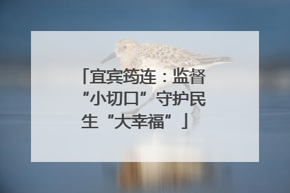 宜宾筠连：监督“小切口”守护民生“大幸福”