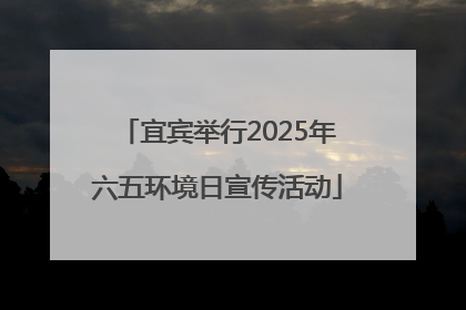 宜宾举行2025年六五环境日宣传活动