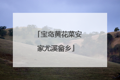 宝岛黄花菜安家尤溪畲乡