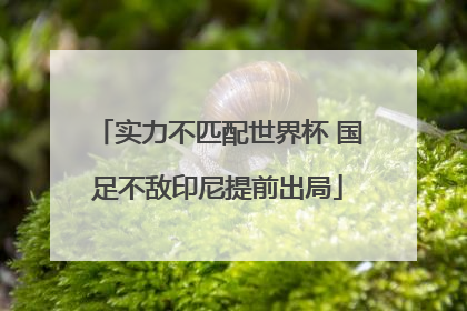 实力不匹配世界杯 国足不敌印尼提前出局