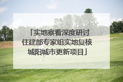 实地察看深度研讨 住建部专家组实地复核城阳城市更新项目